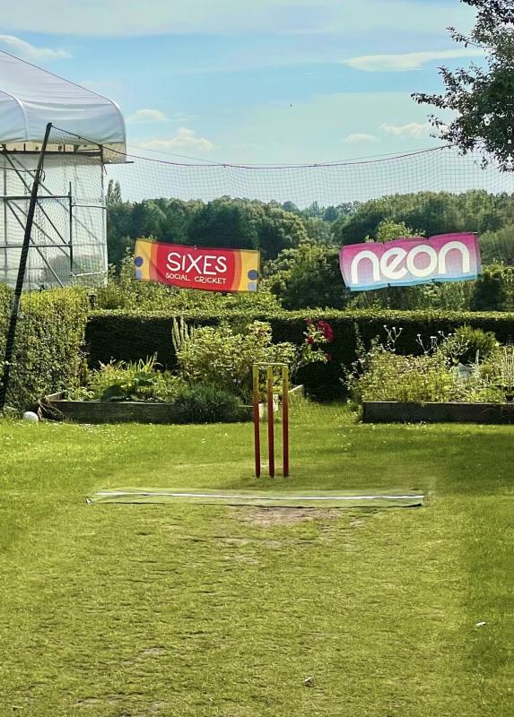 Backyard Cricket UK Image #4